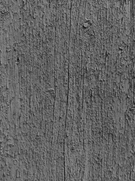 Gray texture The texture of the wood is toned in gray