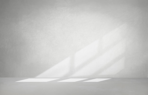 Gray wall in an empty room with concrete floor