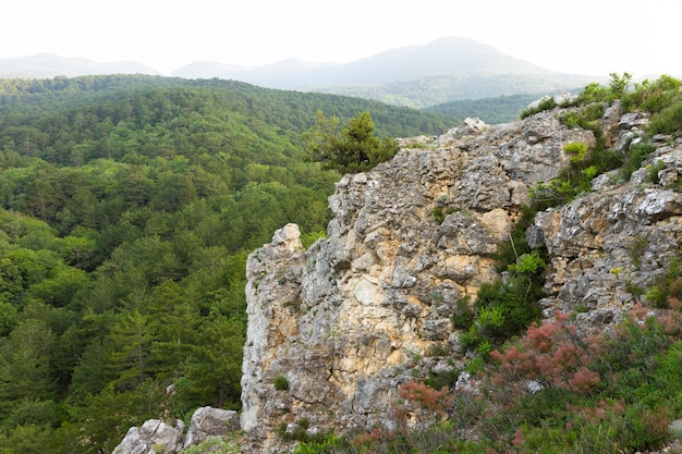 Gray wild rocks and wild green forest. view from above. landscape