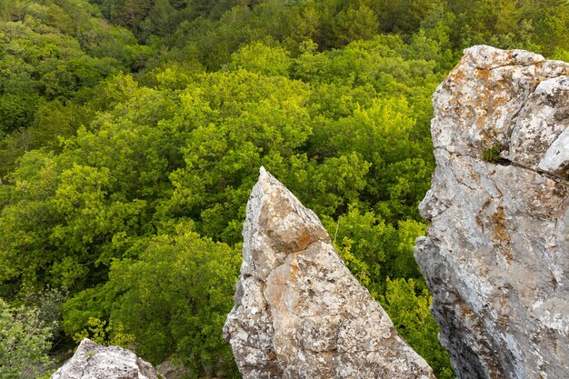 Gray wild rocks and wild green forest. View from above. Landscape.