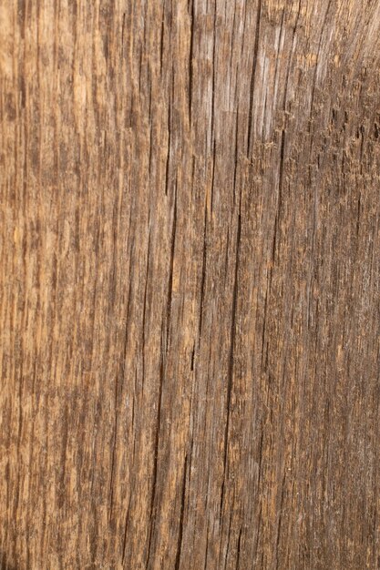 Gray wood texture Old board Wooden background