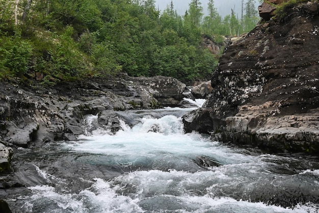 Grayling Creek op het Putorana-plateau