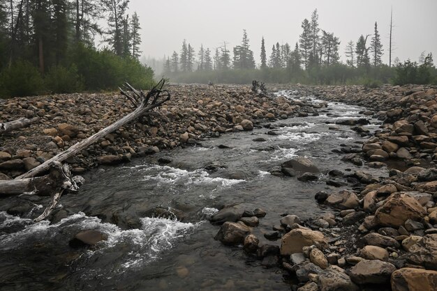 Grayling Creek op het Putorana-plateau