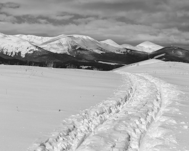 Grayscale Sledge trace and footprints on winter mountain hill top and snow covered alp Chornohora ridge Ukraine Carpathian Mountains tranquility peaceful view from Dzembronya village outskirts