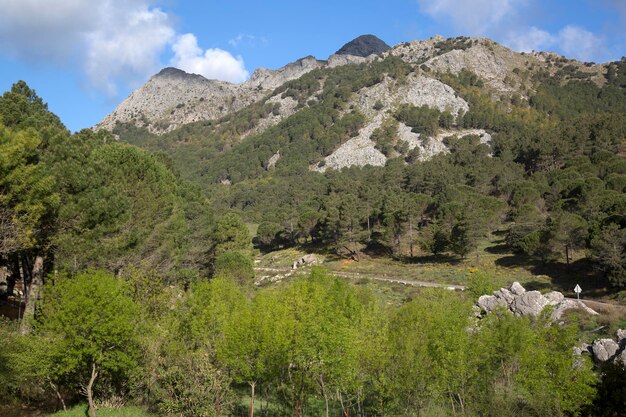 Grazalema Mountains in Cadiz Spain