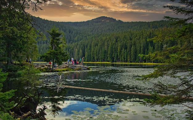 Great Arber lake in the Bavarian forest