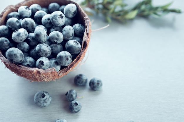 Great bilberry in a coconut