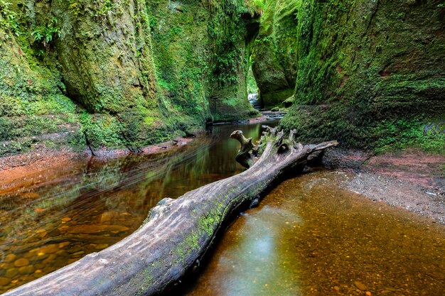 Great Britain, Scotland, Trossachs National Park, Finnich Glen canyon, The Devil's Pulpit, River Car