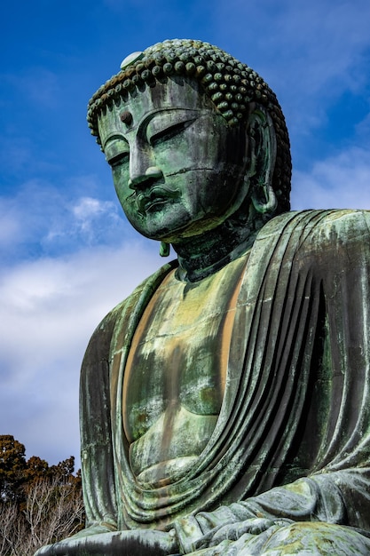 Photo great buddha of kamakura bronze statue in kotokuin temple japan