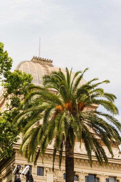 Great church in center of Rome Italy