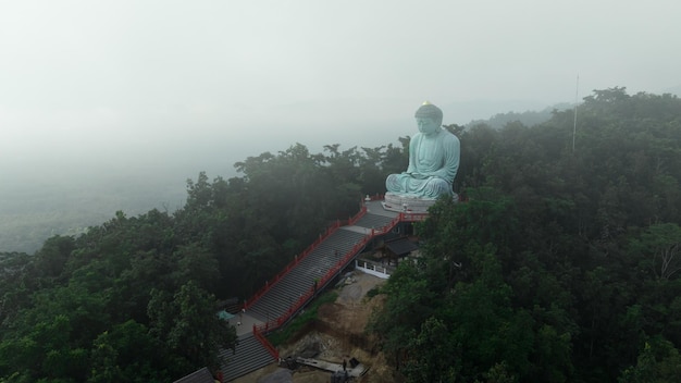 森を取り囲む丘の上に朝霧の大仏が佇む大仏