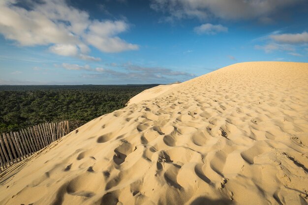 Photo great dune of pyla the tallest sand dune in europe arcachon bay france