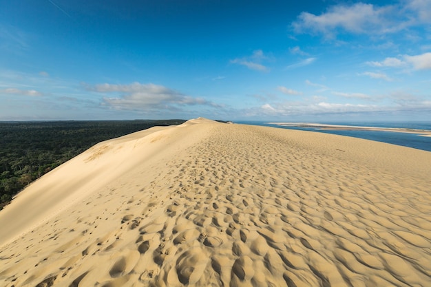 Photo great dune of pyla the tallest sand dune in europe arcachon bay france