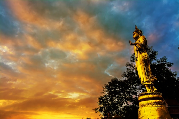 Grande statua dorata del buddha