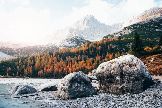 Great high mountains. Landscape of autumn trees and rocks in the front. Majestic nature