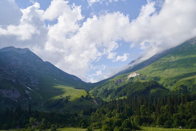 写真 緑の山道 ⁇ 森と草原のある素晴らしい風景 ⁇