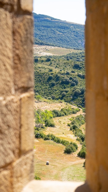 Great meadow seen from the battlements of a castle