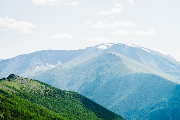 Great mountains and forest.