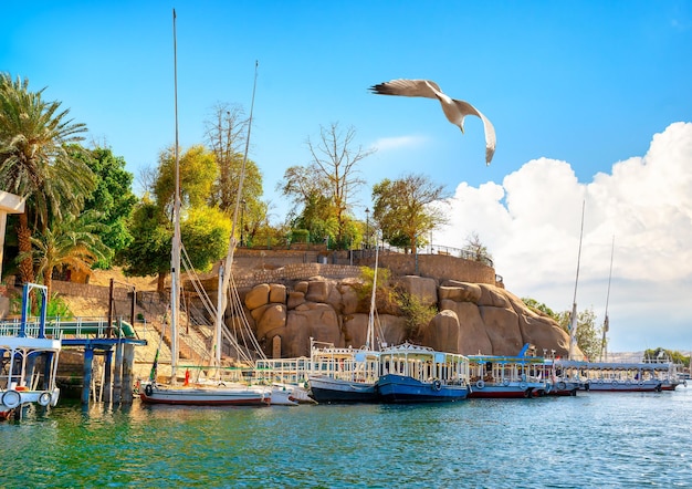 Great Nile in Aswan