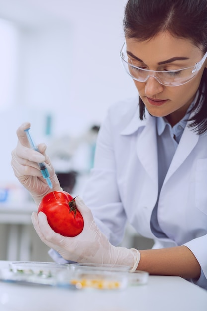 Great quality. Concentrated skilled biologist wearing a uniform and testing tomatoes