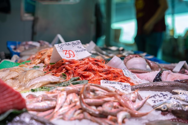 Foto grande quantità di frutti di mare freschi sul mercato del pesce a barcellona spagna