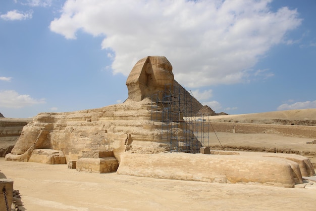 Great Sphinx on the restoration. Giza Egypt