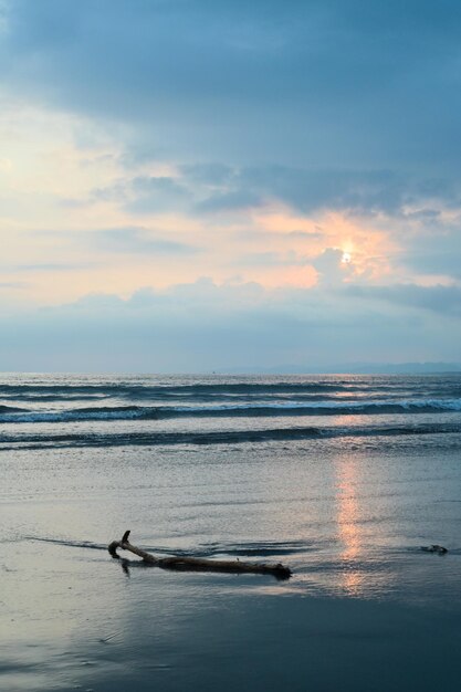 Photo great sunset at the beach