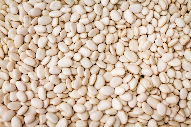 Great texture background of northern beans or white bean.