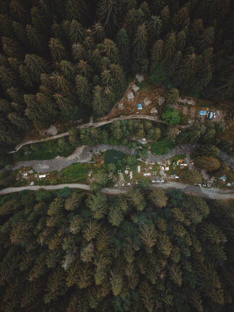 A great view on an italian forest