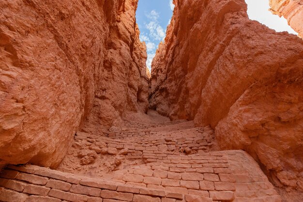 Photo great view to a part of the magnificient bryce canyon