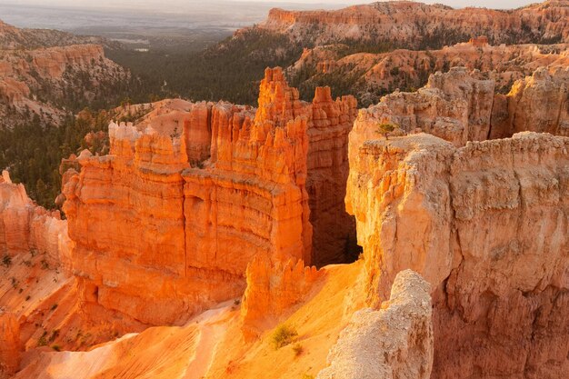 Photo great view to a part of the magnificient bryce canyon