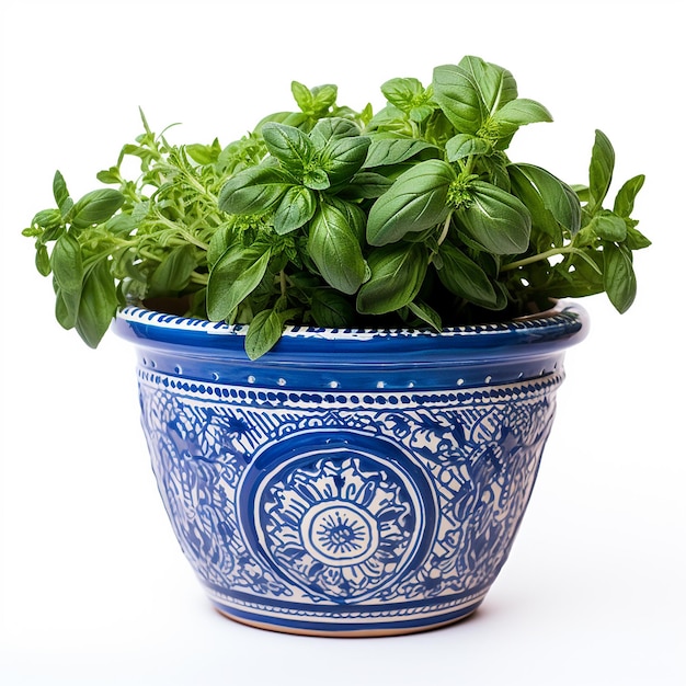 Greek blue flower pot with herbs