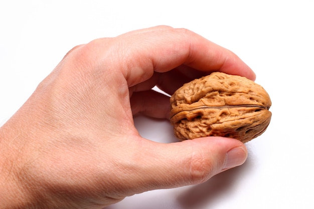 Greek walnut in the hand on a white