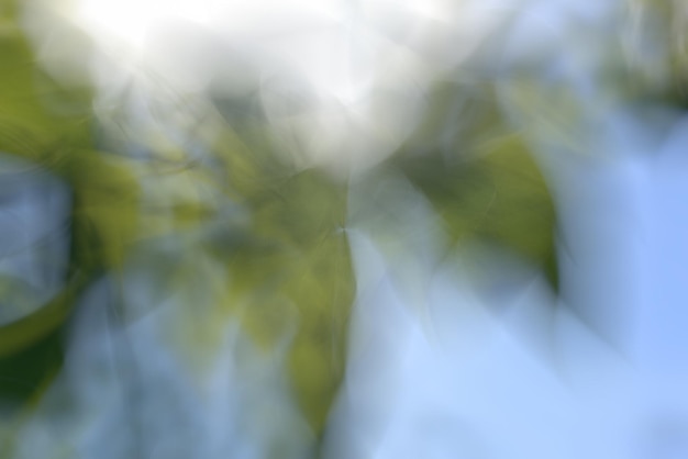 Green abstract background lines and angles blurred theme