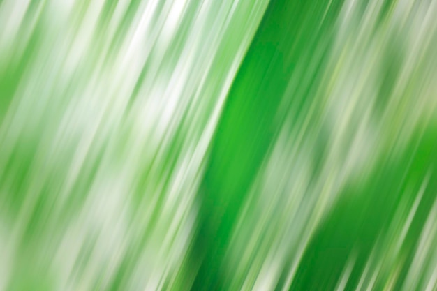 Green abstract background and pattern