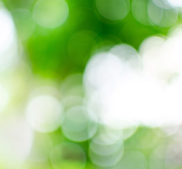 Green abstract blur background