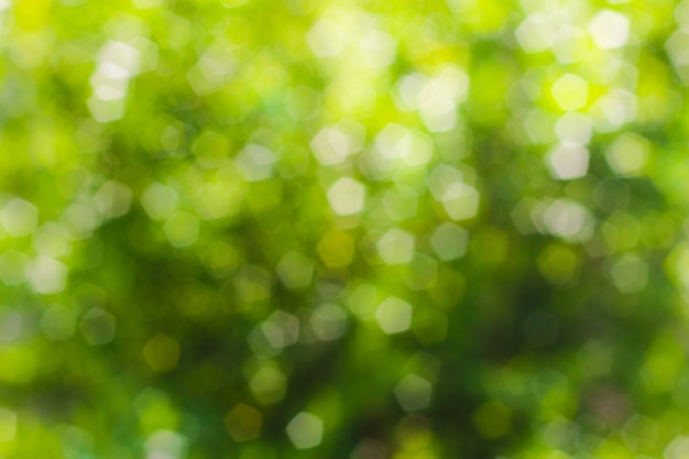  green abstract bokeh, green background 