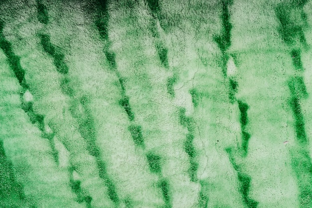Green abstract texture 