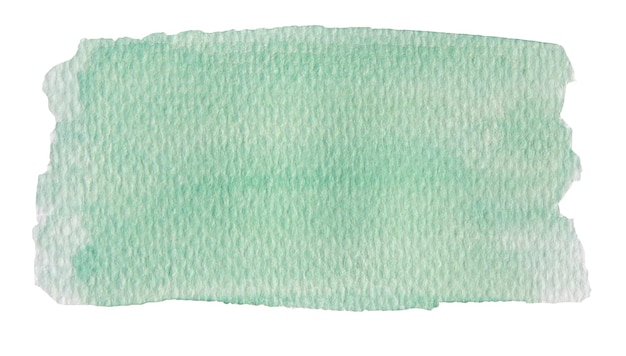 green abstract watercolor hand painted background on white