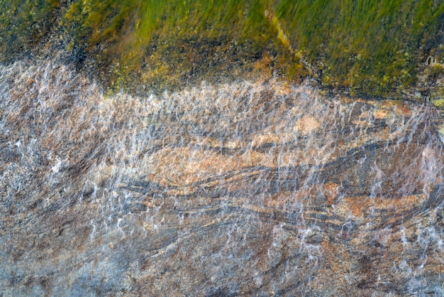 Green algae on the surface of a beautiful pink stone.