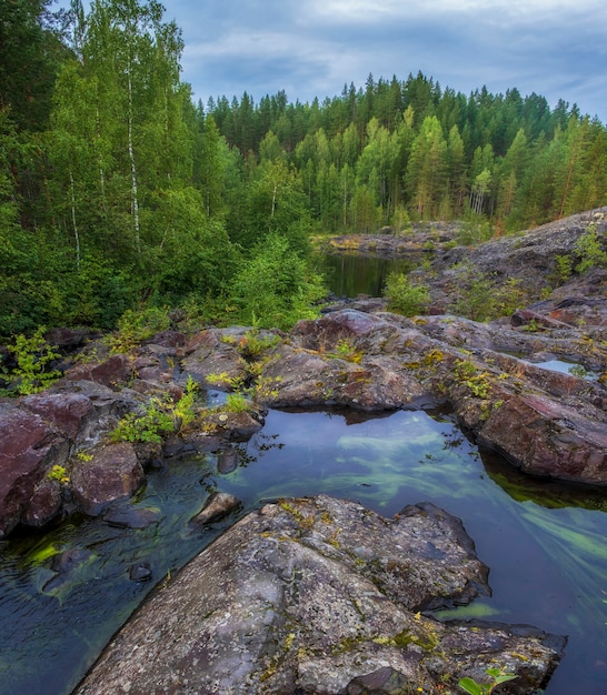 Зеленые водоросли в воде на Бедном пороге, порог, на реке Суна Карелия, русский пейзаж лето