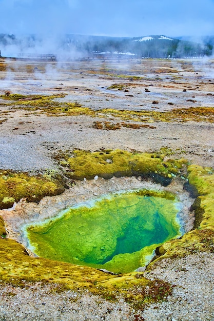 Green alkaline water fills geyser at yellowstone in basin