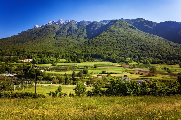 写真 トレントの緑の高山風景