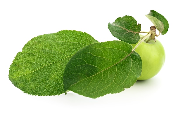 Green apple with leaves isolated on white.