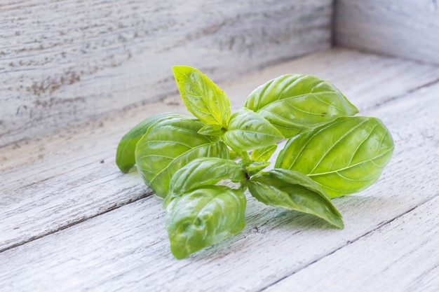 Green aromatic basil leaves on white wooden with place for text