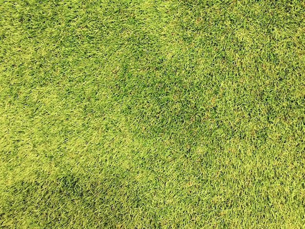 Green Artificial Grass Background