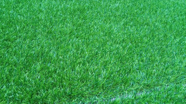 Photo green artificial grass