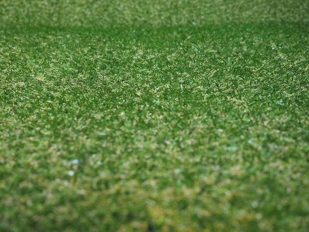 Зеленая искусственная синтетическая трава луг фон