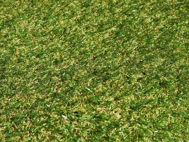 Green artificial synthetic grass meadow background