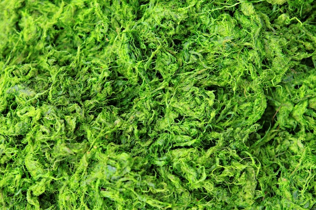 green asian vegetable background